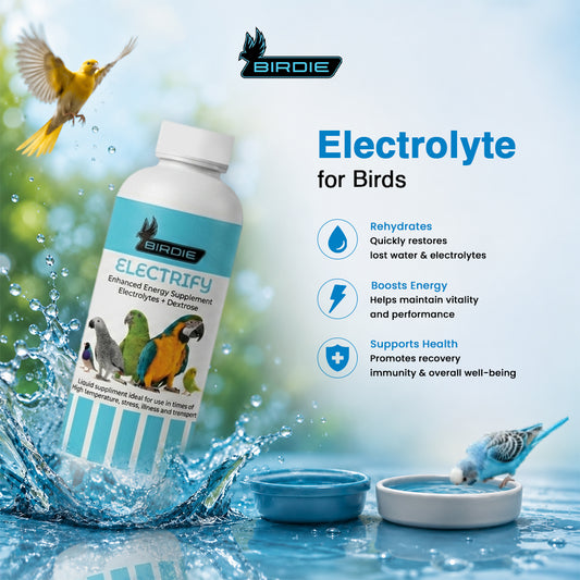 Electrify (Electrolyte)  (350m ML)