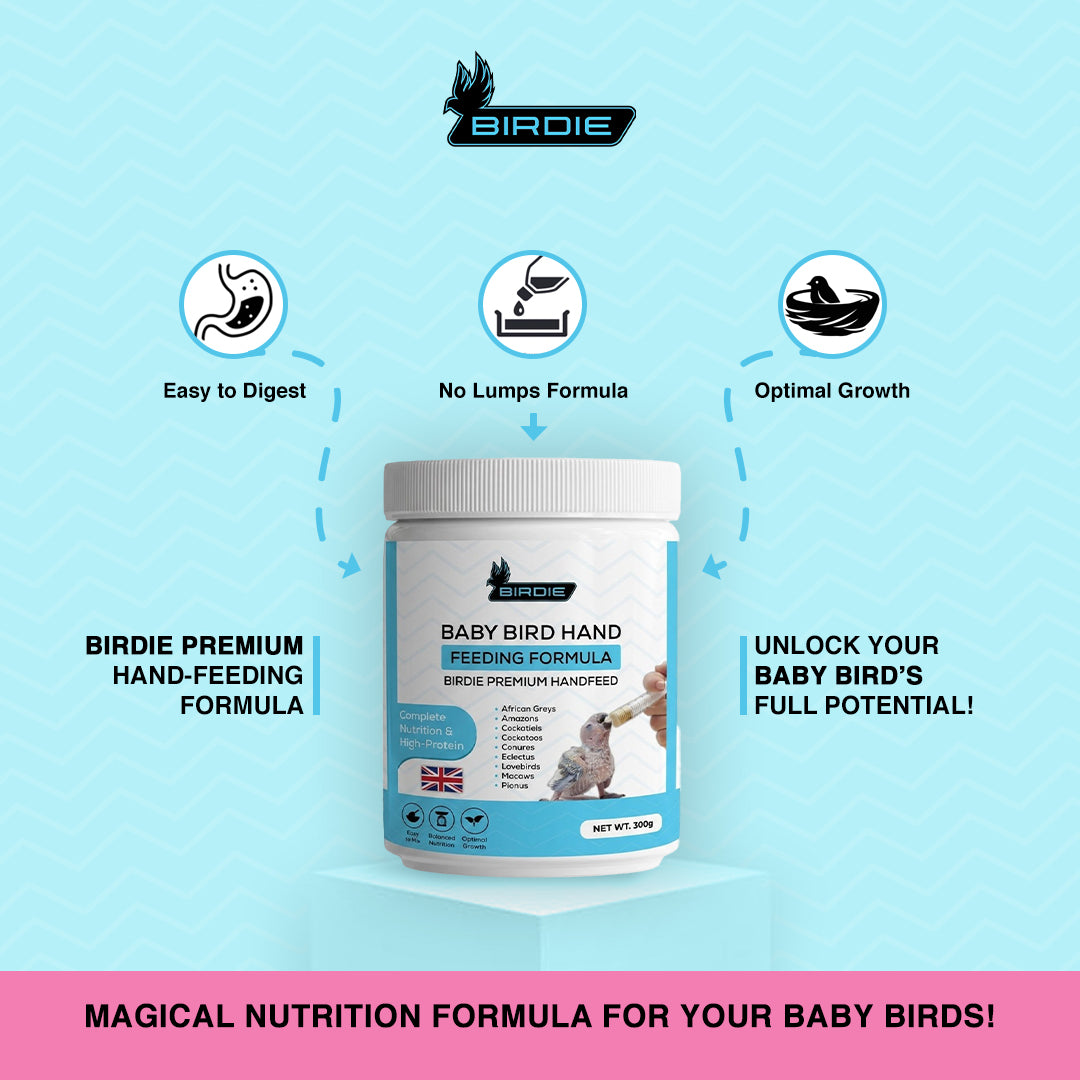 Birdie Premium Handfeed Formula – Baby Bird Hand Feeding Formula (high Protien) (300g)