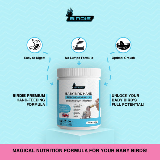 Birdie Premium Handfeed Formula – Baby Bird Hand Feeding Formula (high Protien) (300g)