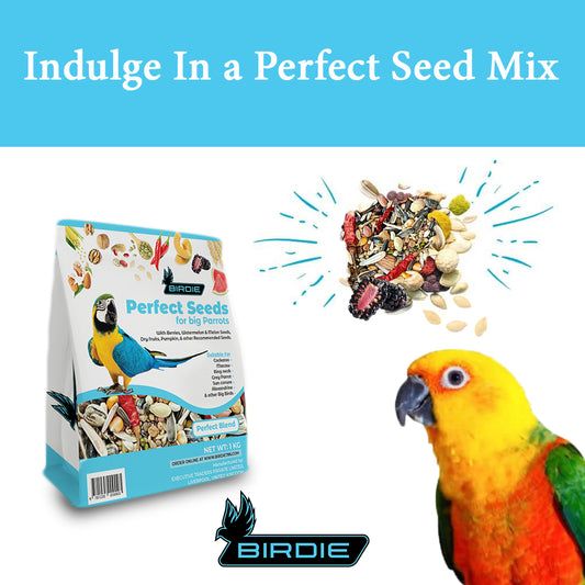 Perfect Seeds for big parrots