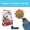 Perfect Seeds for Small parrots